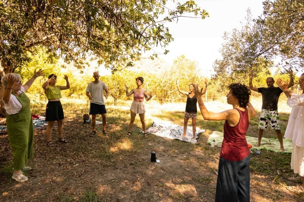 Ullal de la perla gandía marjal humedal stop glamping