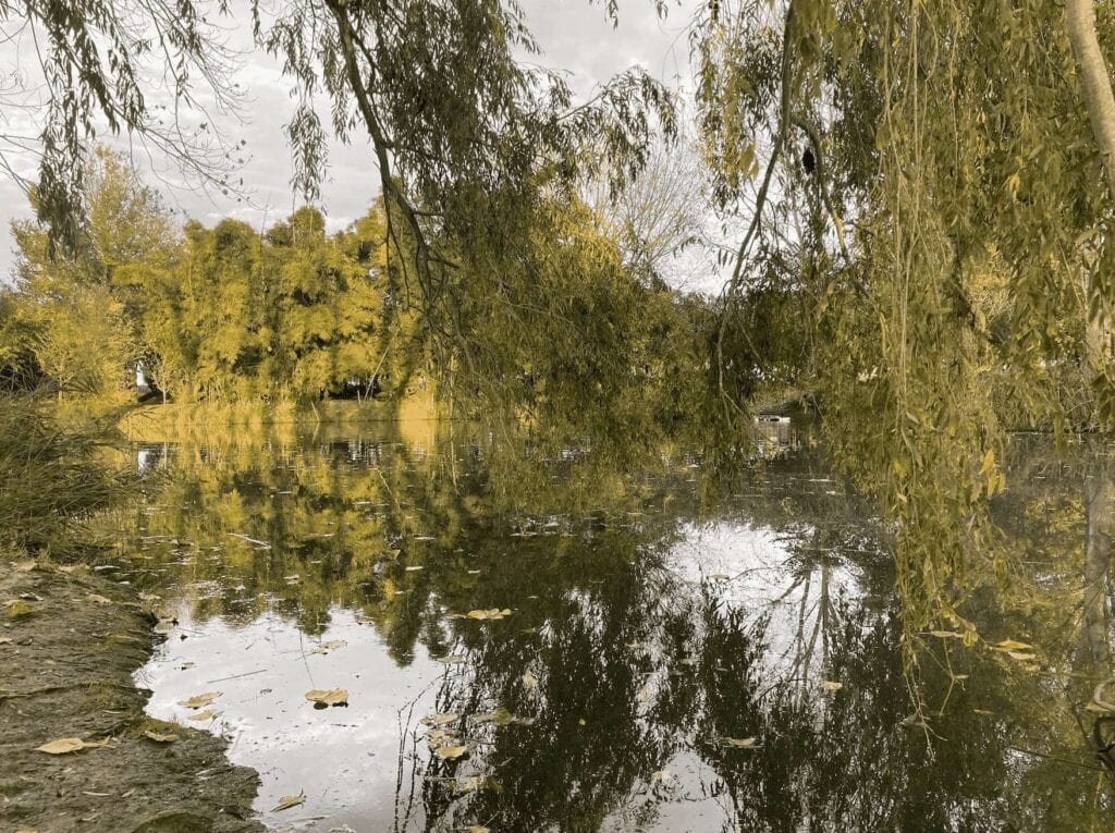 Stop Glamping en Gandía en el Ullal de la Perla